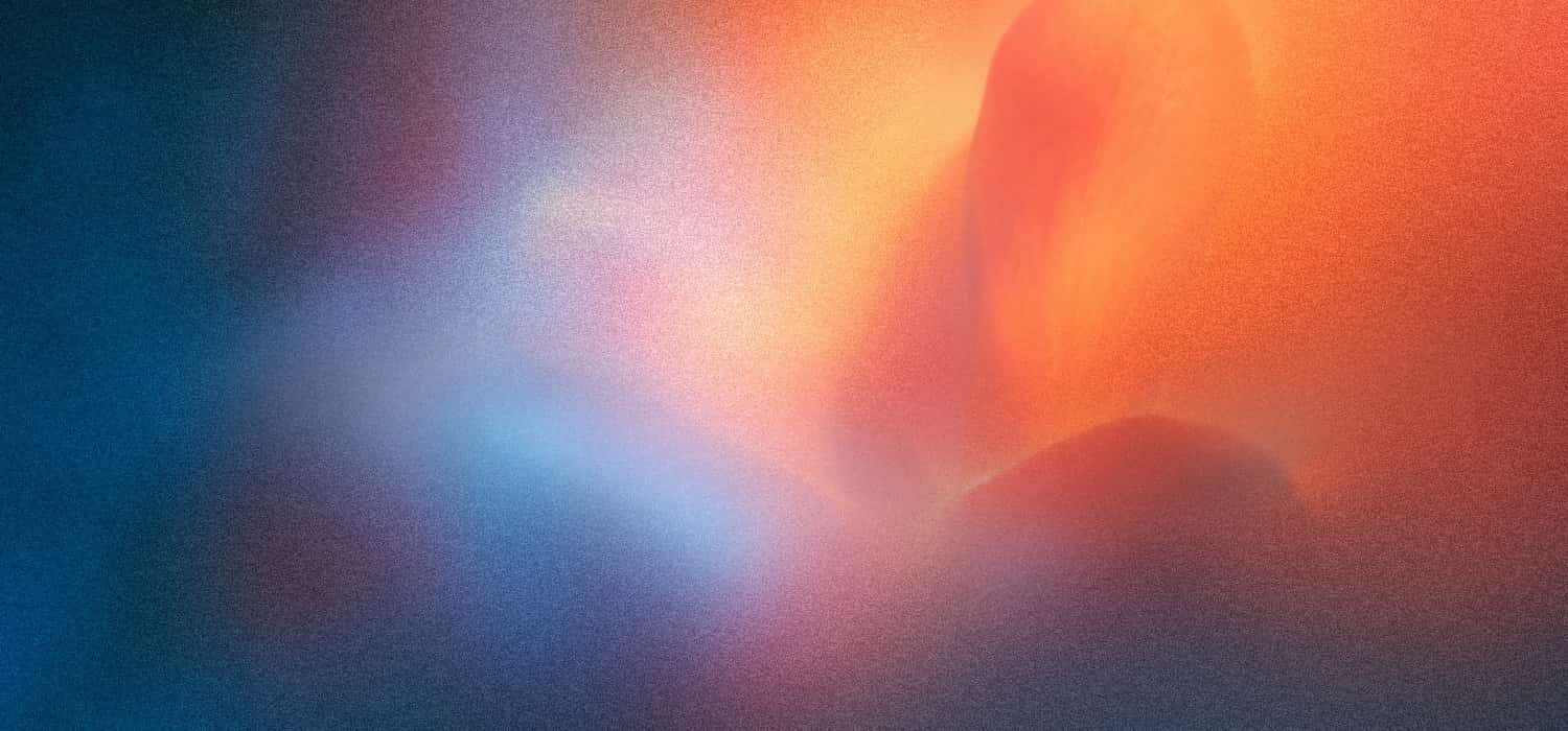 A flower up close, orange and blue