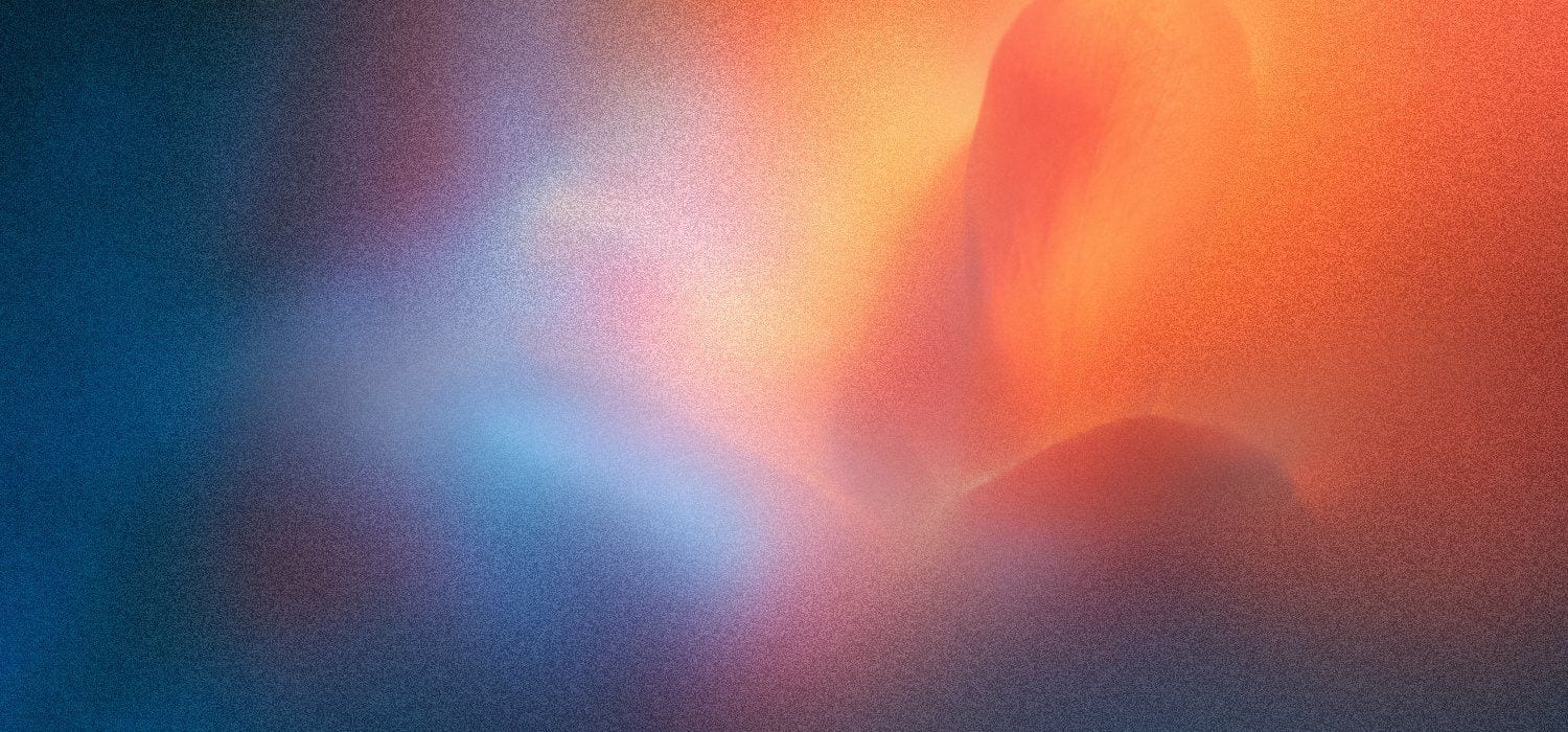 A floral macro in orange and pink