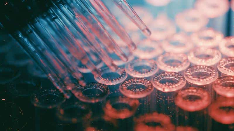 A rack of tubes, up close