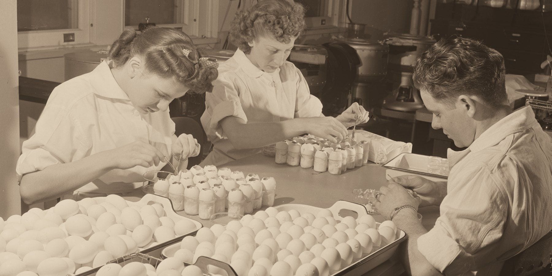 Preparing eggs for yellow fever vaccine at the U.S. Public Health Service's Rocky Mountain Laboratory, Hamilton, Montana (Library of Congress)