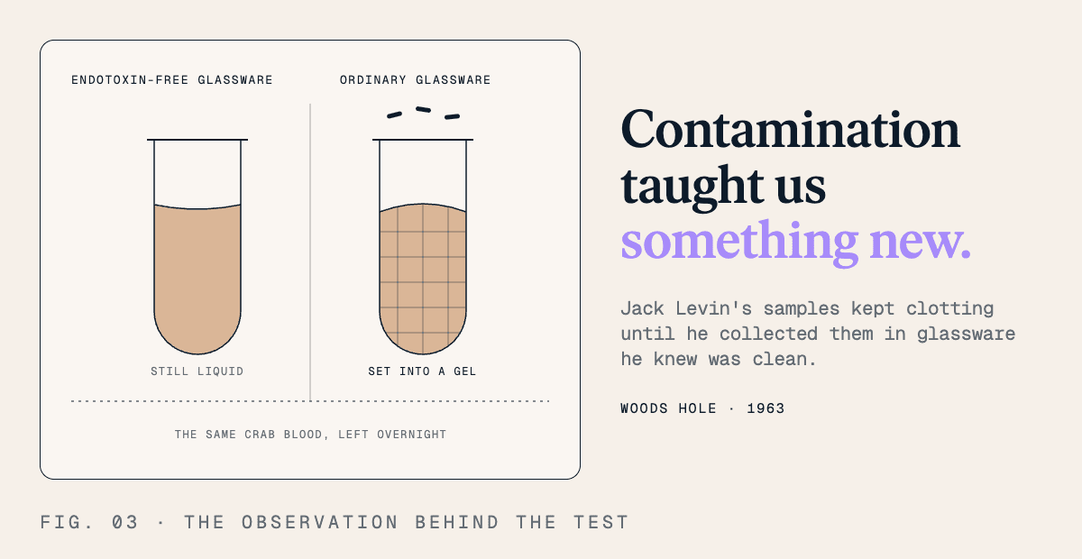 Contamination taught us something new. Jack Levin's samples kept clotting until he collected in glassware he knew was clean.